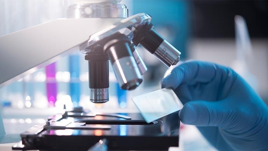 ¿Citología o revisión ginecológica?